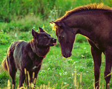 Enlarge photo 63