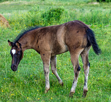 Enlarge photo 20
