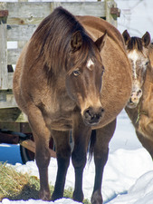 Enlarge photo 20