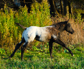 Enlarge photo 23