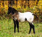 Enlarge photo 22
