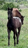 Enlarge photo 19