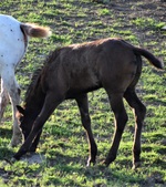 Enlarge photo 14
