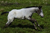 Enlarge photo 21