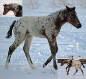 Enlarge photo 13
