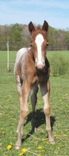 Enlarge photo 13