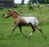 Enlarge photo 19