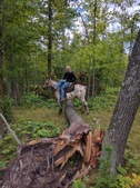 Enlarge photo 10