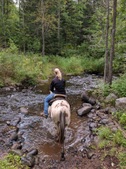 Enlarge photo 5