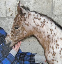 Enlarge photo 14