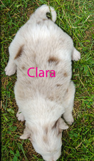 Enlarge photo 26