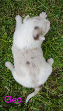 Enlarge photo 24