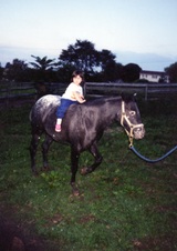Enlarge photo 12