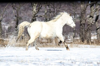 Enlarge photo 2