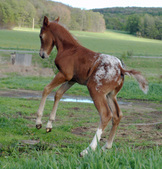 Enlarge photo 19