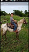 Enlarge photo 2