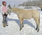 Enlarge photo 4