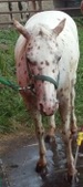 Enlarge photo 3