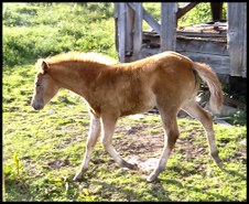 Enlarge photo 25