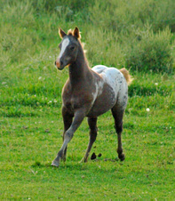 Enlarge photo 38