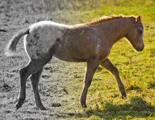 Enlarge photo 15