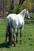 Enlarge photo 21