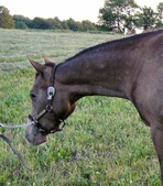 Enlarge photo 20