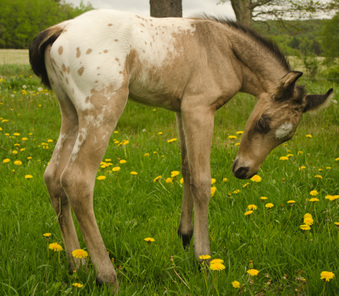 Enlarge photo 19