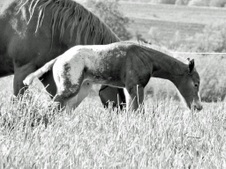 Enlarge photo 30