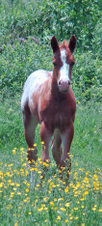 Enlarge photo 28