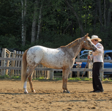 Enlarge photo 4