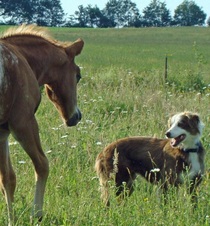 Enlarge photo 24