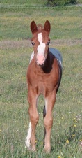 Enlarge photo 26