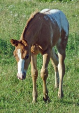 Enlarge photo 22