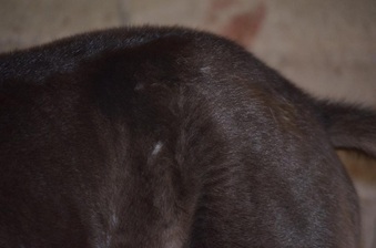 Enlarge photo 22