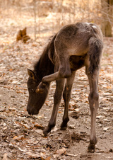 Enlarge photo 5