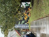Enlarge photo 10