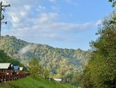 Enlarge photo 72
