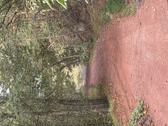 Enlarge photo 69