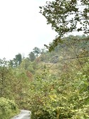 Enlarge photo 67