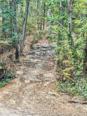 Enlarge photo 63