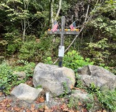 Enlarge photo 62