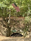 Enlarge photo 61
