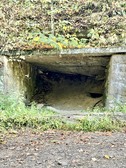 Enlarge photo 60