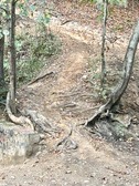 Enlarge photo 53