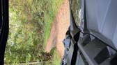 Enlarge MOV 52