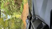 Enlarge MOV 51