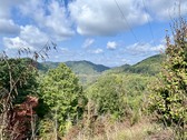 Enlarge photo 49