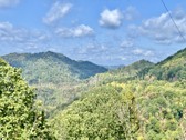 Enlarge photo 48