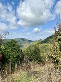 Enlarge photo 47